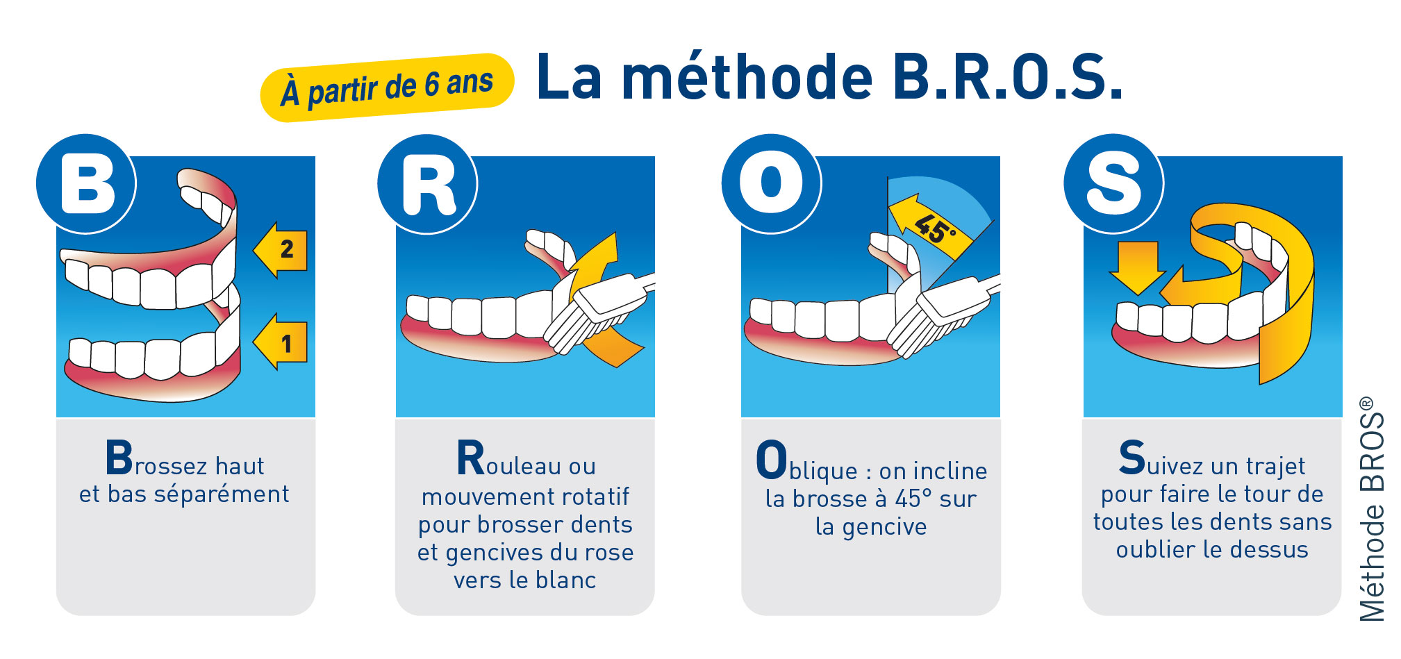 fiche3-brossage-methodeBros